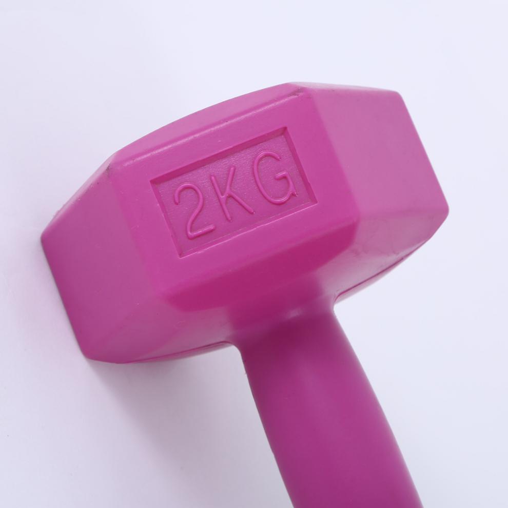 Aurafit Ladies Gym Aerobics Filling Sand Hexagon Dumbbell